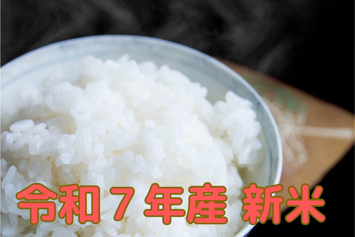 千葉県の名産粒すけ